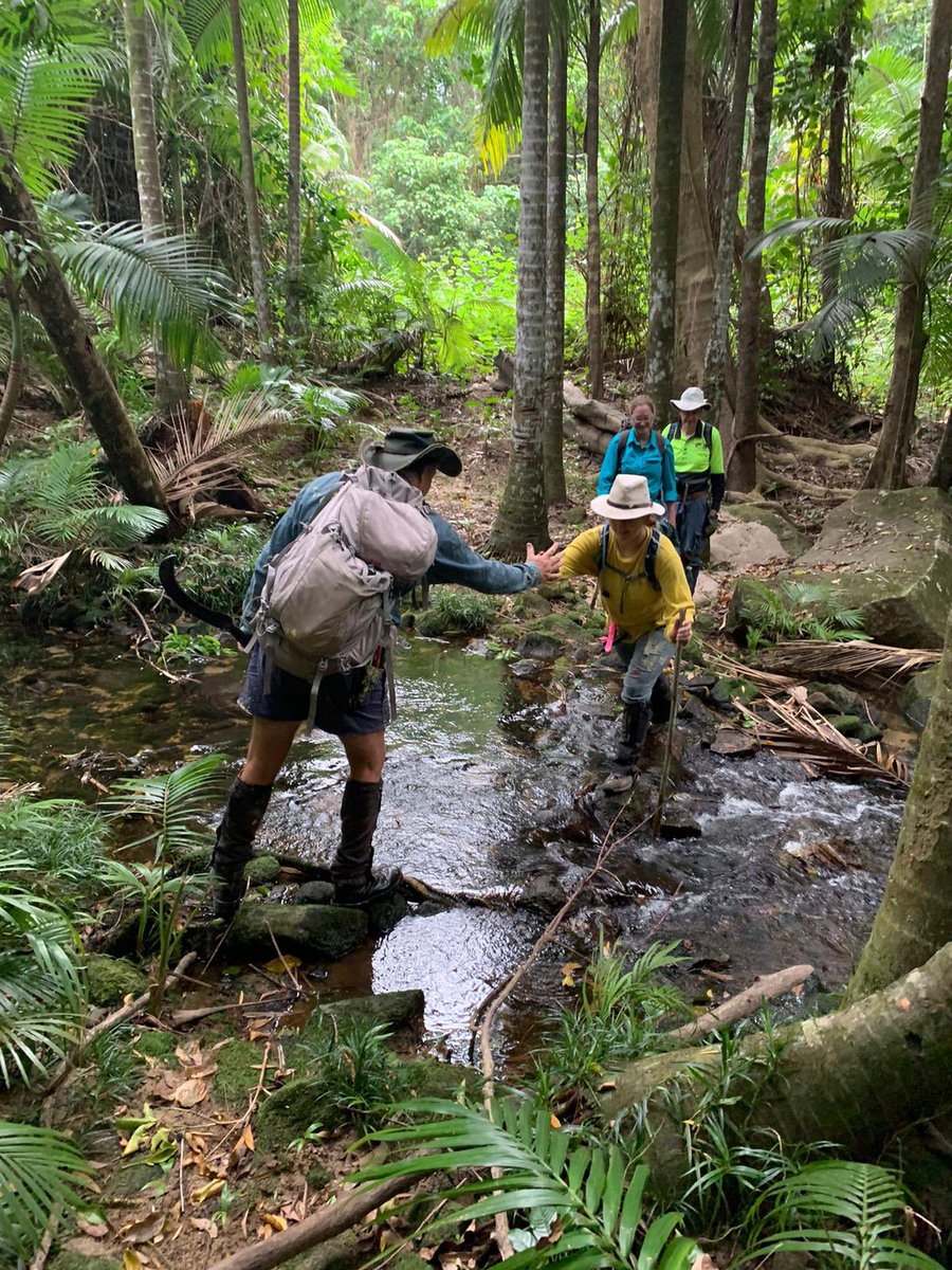 This is a wrap on 2023. We had a great year getting back to #QPRP forest plots, many of which were likely thrashed by Cyclone Jasper… time will tell, when we’re able to head back out and check on them. Best wishes to all in #FNQ who we hope can still enjoy the hols ✌️🌳🌿🍃🍄