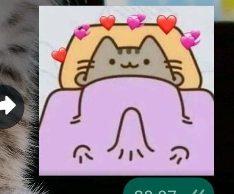 Greore3's tweet image. Vendo o perfil dela