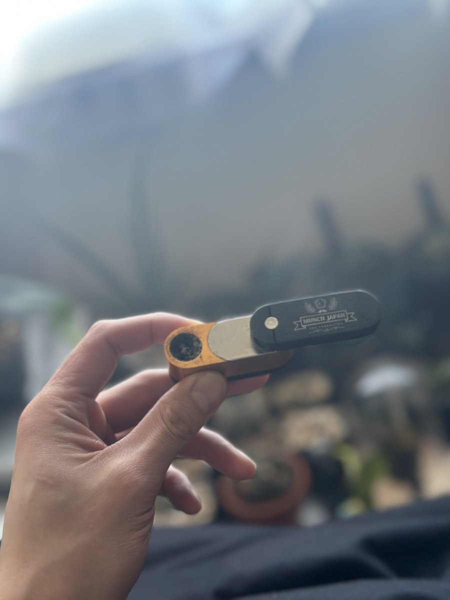 yuu_s9318's tweet image. 今日も今日とて。
#PUMPEDUP 🌿を@MunchJapan さんに頂いたパイプで❤️‍🔥✌🏿
#CBGマニア #ChadPlants