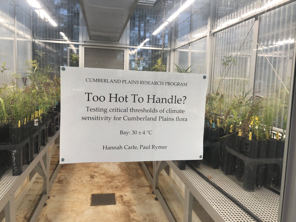 2023: year of more science.

I graduated my PhD at <a href="/EcoEvo_ANU/">Ecology&EvolutionANU</a> 🎉
Started a postdoc @ #HIE <a href="/westernsydneyu/">Western Sydney University</a> 🤓
Ran my first glasshouse experiment, starting with 3000+ native plants 🌿
Learned to install and use new kit 📡🔋
And failed a bunch 👎

Time to sleep now…