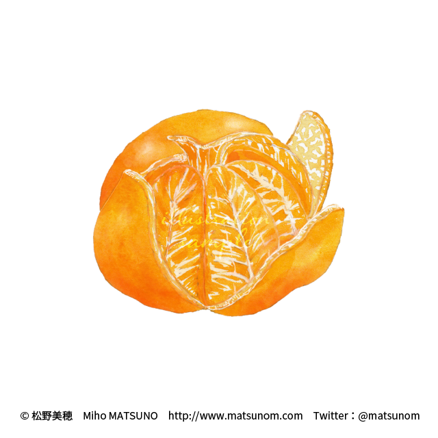 「orange theme still life」 illustration images(Latest)