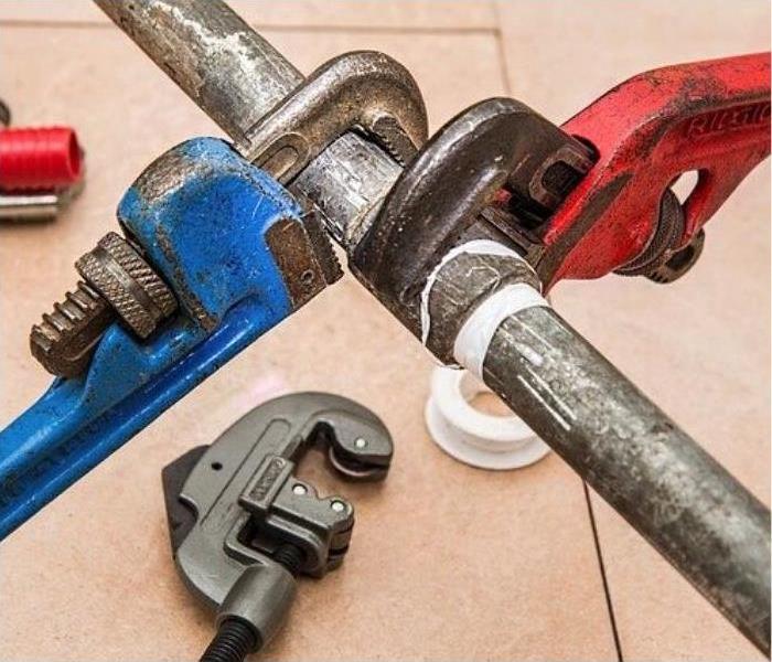 When Your Water Damage is Gone, Your Mold Problem May Start. ow.ly/ZuIx30syatV

(480) 503-2090. 24-7@servpro.com.
#SERVPROTeamPhoenix #remediationservices #damagecleanup