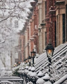 The CHRISTMASTIME series – a.co/d/eFJy5tV
#readingcommunity #Christmas #Books #Homefront #ChristmasMagic #Reading #Kindness #homemade #cozywinter #literature #NYCBooks #NYC    
A New York City Christmas