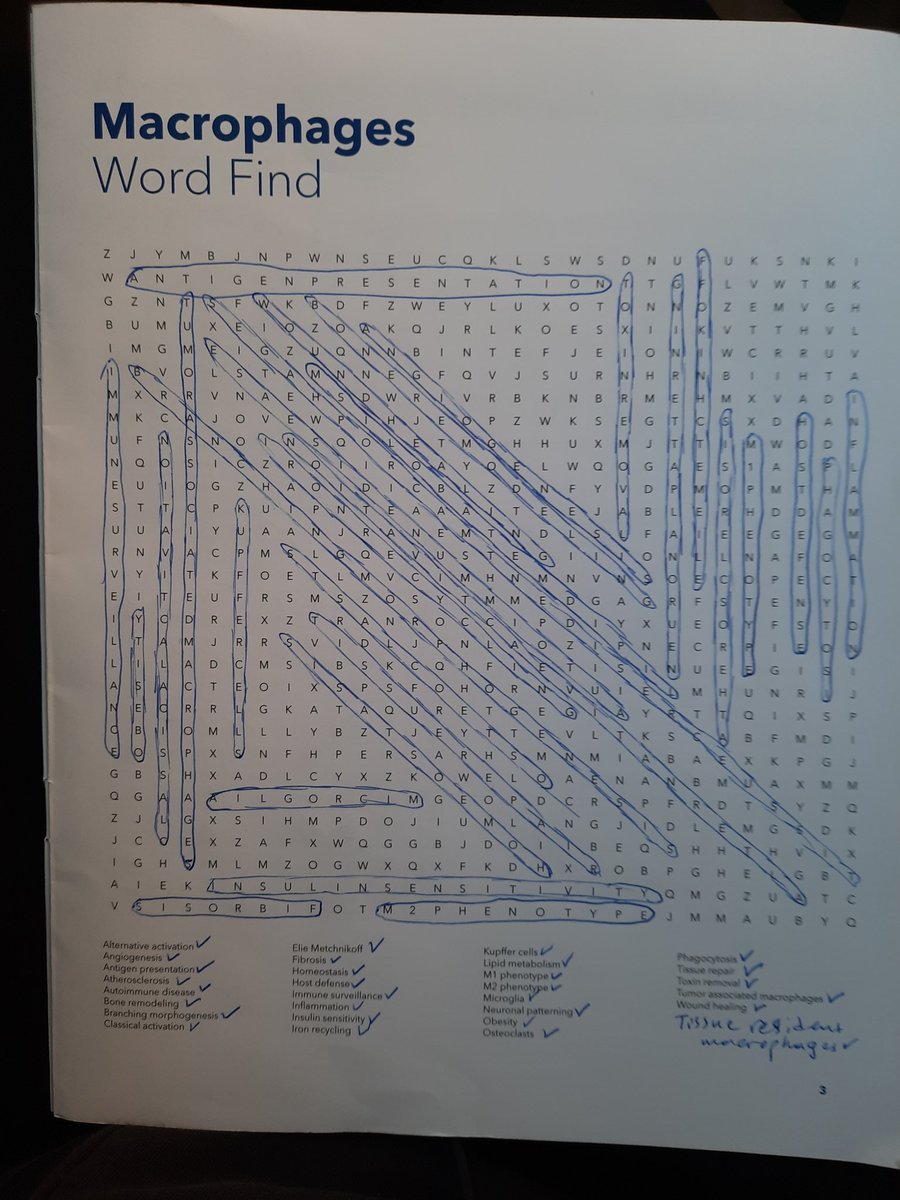 Pausing science for a while doing relaxing christmas holiday's activities. Oh wait...