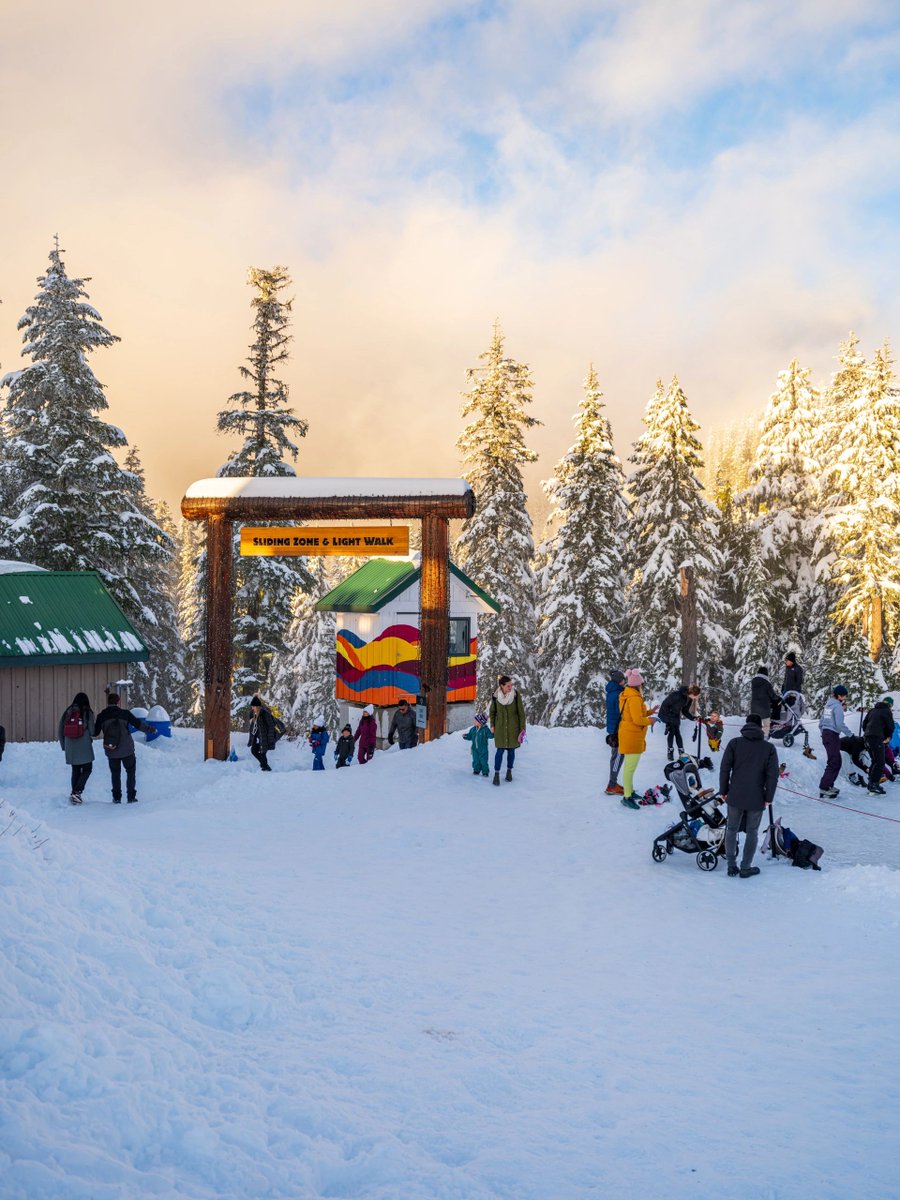 Grouse Mountain🏔🏔 Christmas🎄🎄 Event☃️☃️❄️❄️