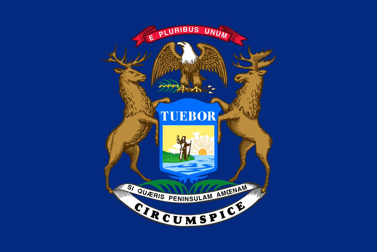 Minnesotans for a Better Flag tweet media