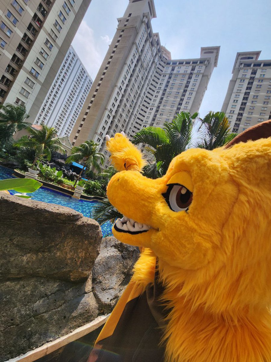 Hey, look! I wonder what's up there? #FursuitFriday #furries