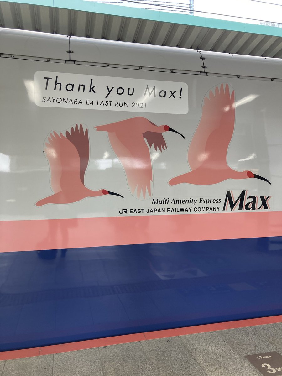 papa_tetsuneko3's tweet image. #これを見た人は4がつく形式の鉄道車両の写真を貼る
やはりこれかな　#E4
動画はたまたま上り列車に乗っていた時に遭遇したラストラン。