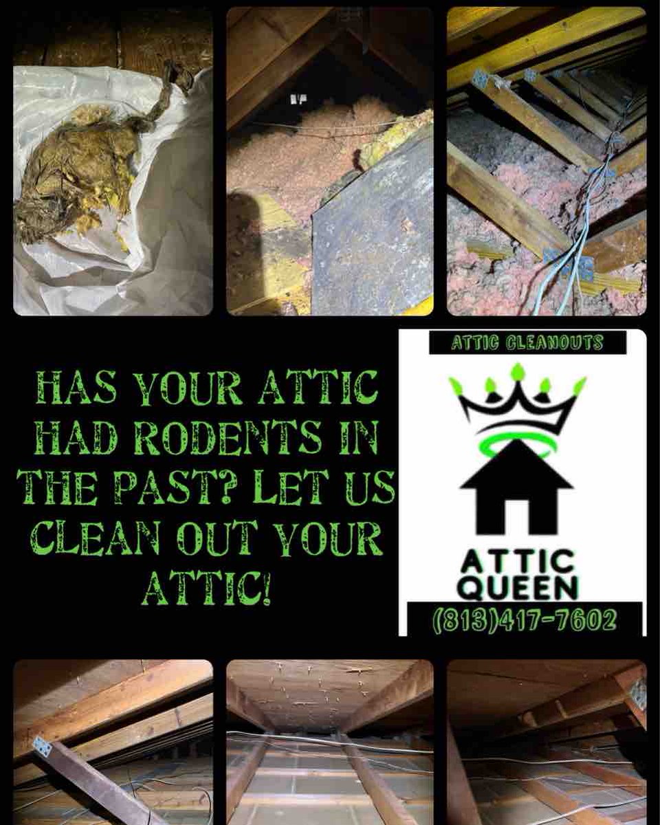 What’s in your attic?

#atticqueen #insulation #insulationcontractor #insulationremoval #rodentinfestation #indoorairquality #iaq #atticcleaning #atticcleanout #atticmakeover #respiratory #respiratoryproblems #breathingproblems #sickhome #healthy #healthyhome