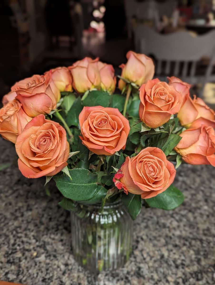 Received these roses from a student almost 2 weeks ago and they are still beautiful. Going to have to find out where they were purchased. #freshflowers #grateful