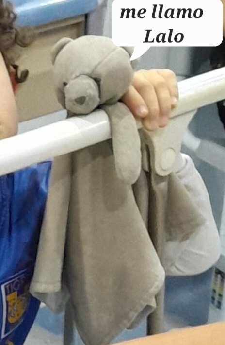 oscarbudar's tweet image. Esta mantita de oso se perdió hoy 22 de dic a las 3pm en Portal San Ángel, alc. Álvaro Obregón ☹️ Estuvimos en las tiendas @innovasport @adidas
@adidasMX @hmmexico 
Es toda una vida juntos 👱🏼🐻 Hay recompensa de $1,000
RT por favor!! 🙏🏼