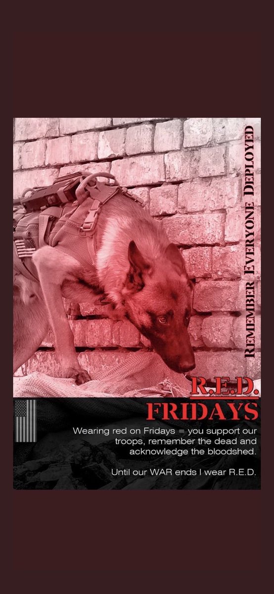 #BuddyCheck 👊🇺🇸 #RedFriday 🇺🇸❤️ R.E.D. Last Friday before Christmas.. 🙏🏻🙏🏻 To All Our Troops #StaySafe 🙏🏻, take care of all your Buddies! 🙏🏻🙏🏻 #BuddyChecksMatter here at home & those still serving 🇺🇸! #EndVeteranSuicide 🙏🏻 is our Mission! 🙏🏻🇺🇸