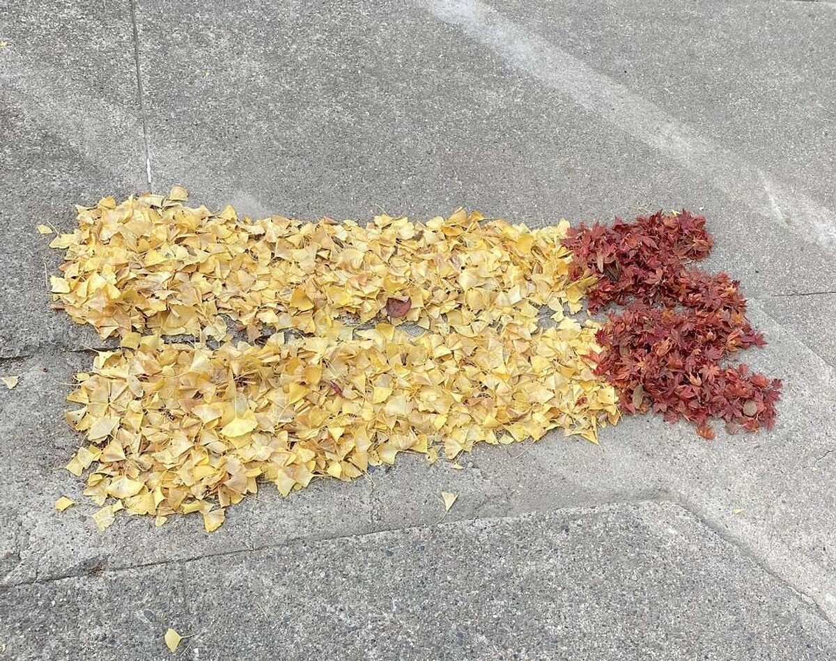 【大反響】小学校に現れた「巨大エビフライ」！校務員の遊び心は「冬の通学の楽しみ」に
news.livedoor.com/lite/article_d…

落ち葉エビフライは小学校の校務員による作品で、毎回1人でいろんな形を制作。リクエストに応えて「ピカチュウ」や「ひき肉です」のポーズなどを落ち葉で表現したこともあるという。