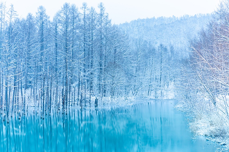 人生を好転させるために、毎朝1分間、やってみるといい自分と向き合う方法！
①いま、どんな気持ちと聞いてみる ②最優先タスクを決める ③明日でいいことを決める ④どんな一日になったらいいかを考える✨。これをやるだけで、朝の憂鬱感がなくなり、幸せな時間が増えてきた🎁！