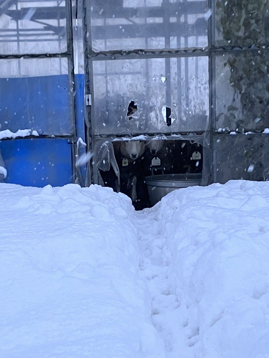 吉田麻子 (@asakoworks) on Twitter photo 