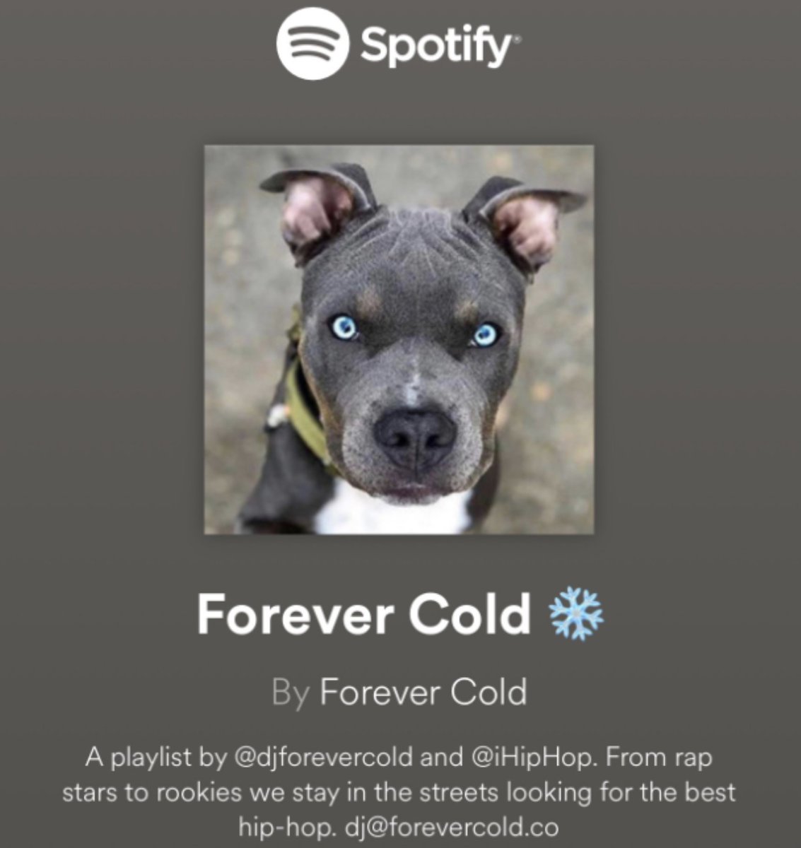 This week's edition of Forever Cold has been updated -- the playlist plug for dope hip-hop, curated by @djforevercold Check out who made this week's list: buff.ly/3t9uK9C Follow on Spotify: buff.ly/3u4zCIc