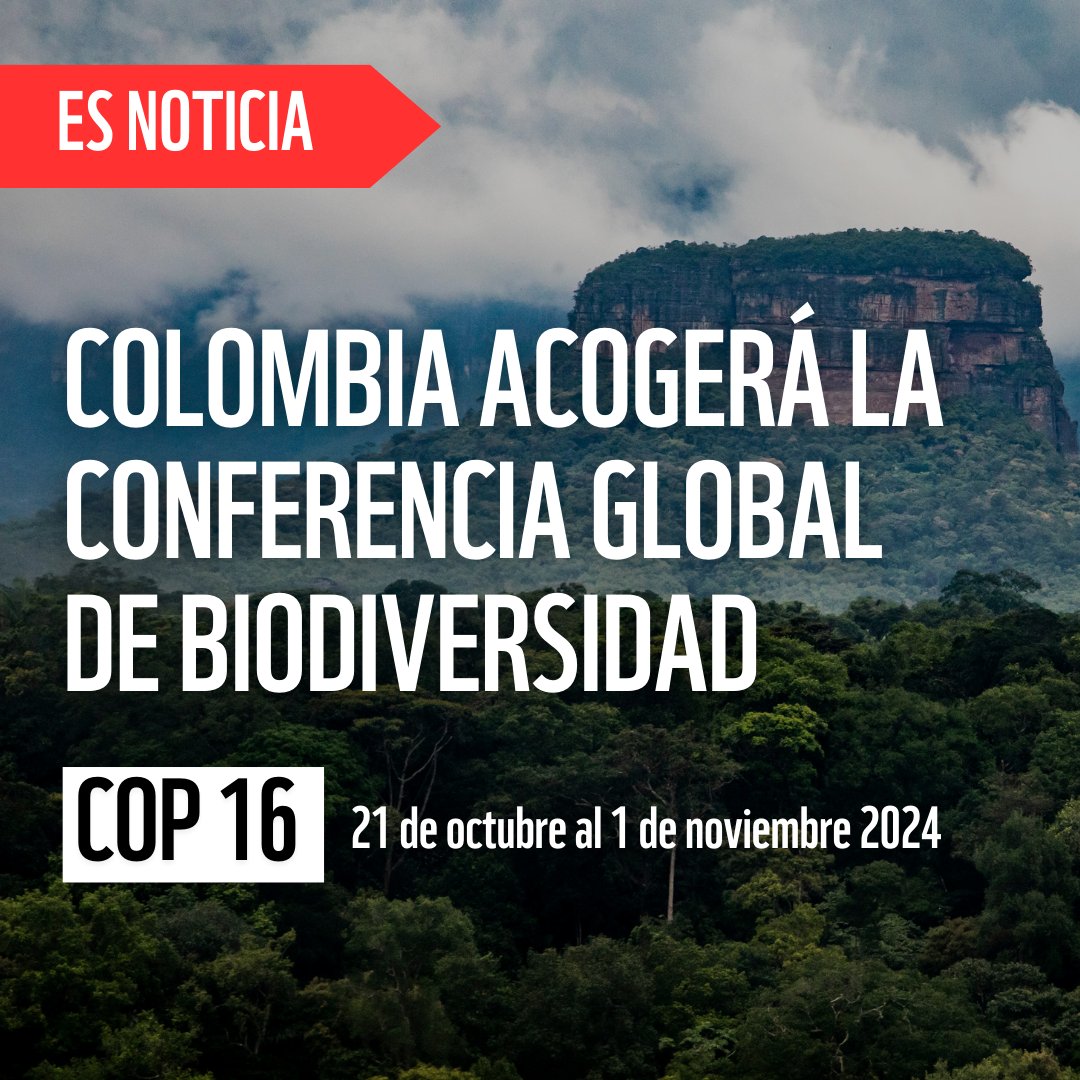 WWFColombia's tweet photo. 🔴 🇨🇴 El próximo año, Colombia será el anfitrión de este importante espacio de toma de decisiones para la conservación de la naturaleza.    

¿Qué significa y cuál es su relevancia en la región? #TeContamos 👉 https://t.co/GUHNq56xPT https://t.co/G5BuXCgq8t