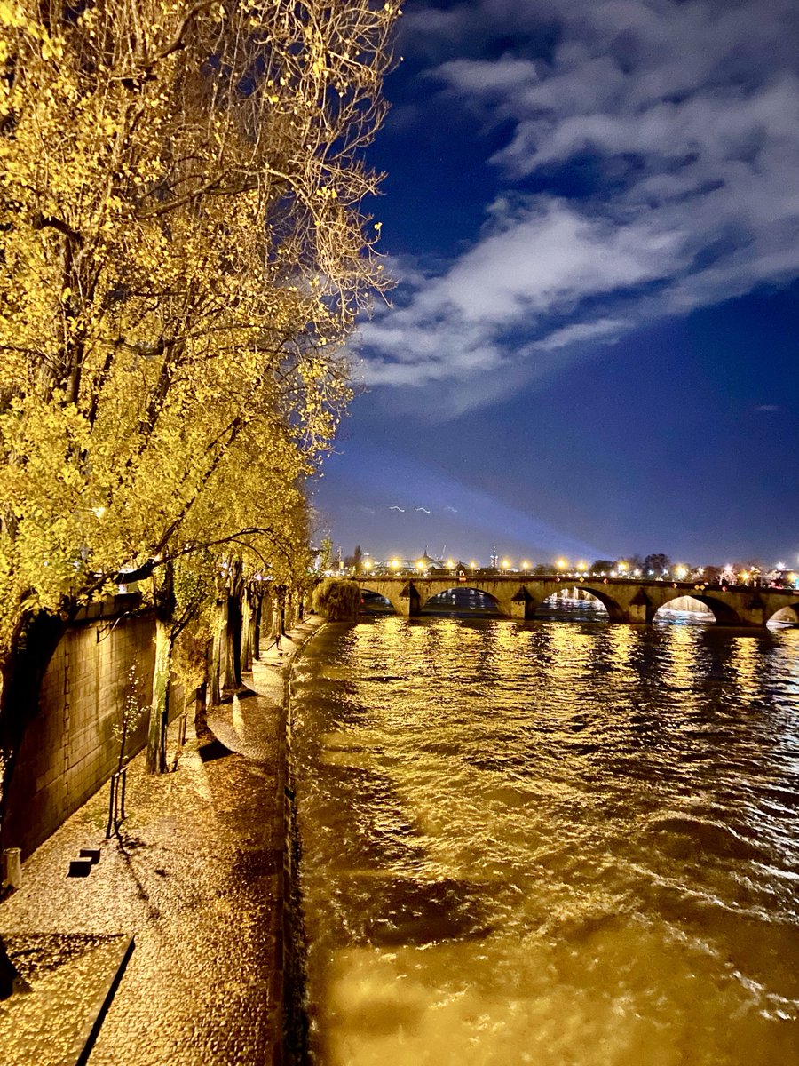 La Seine , La Seine , la Seine tellement jolie elle m’ensorcelle ..🎶🎶💙💛🤍. 📸B.Fleurot 💛🎶💙🎶