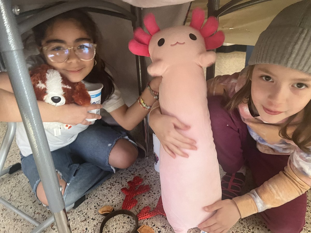 we had fort day today to celebrate filling up our sticker chart!!⛺️✨ <a href="/BethBianchi/">Beth Bianchi</a> <a href="/Mrs_StephLopez/">Stephanie Lopez</a> <a href="/amwetmore/">Amie Wetmore</a> <a href="/PES_Mustangs/">Pembroke Elementary</a>