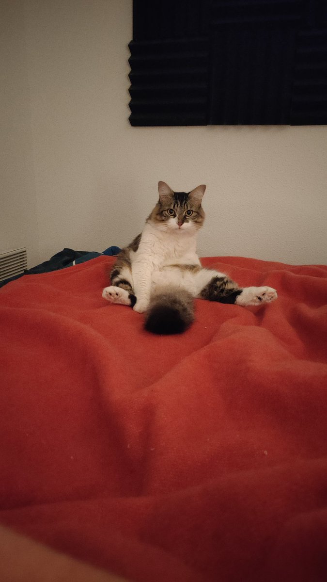 Odalazz's tweet photo. @Saurantz @LeagueOfLegends Tu rentres dans un bush et tu vois ça, tu fais quoi ? https://t.co/WaRcmLjTih