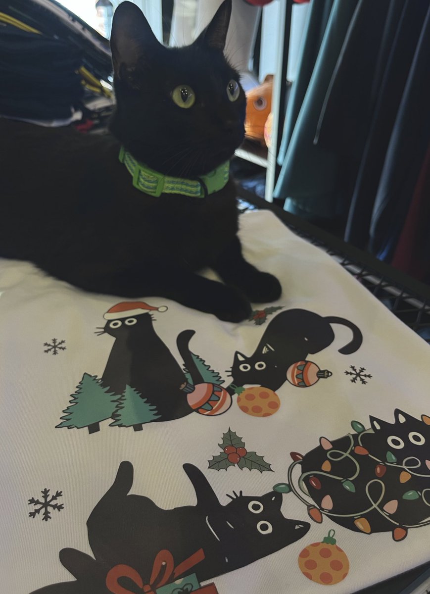 Podrán las demás tiendas hacer live action de sus remeras? 😌🐈‍⬛