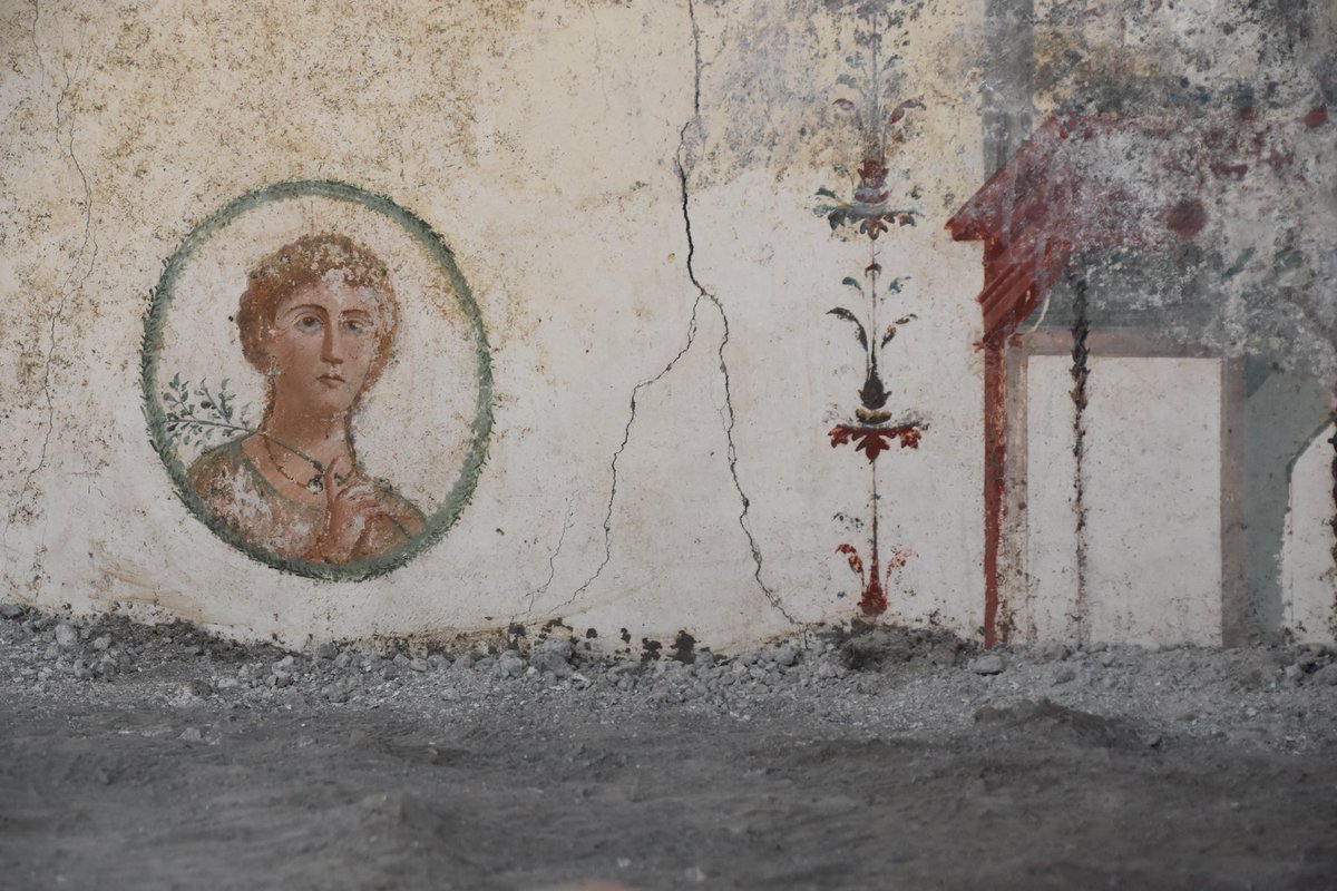 pompei79 tweet picture