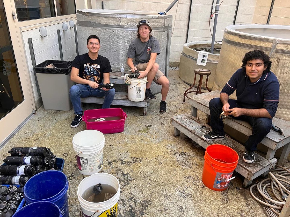 End of another productive semester for the Shark Lab and CA Shark Beach Safety Program. These are some of the folks that make it all happen. Even scrubbing receivers during finals! #hardestworkingpeopleiknow #sharkholidays