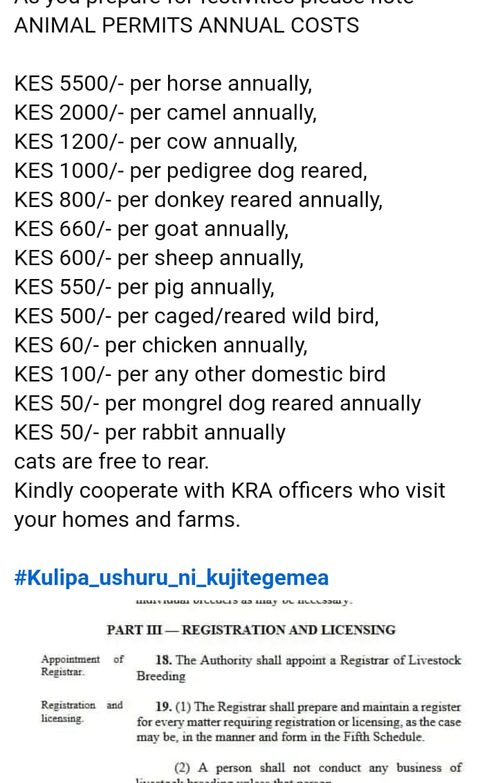 Good people...tell me this is a joke! Ati, I will pay Kshs 2000 per camel annually for my camels in Bangal? Kenya is very close to Boston during the formative years of the American Revolution! @WehliyeMohamed @WMutunga @KRACorporate @BillowKerrow