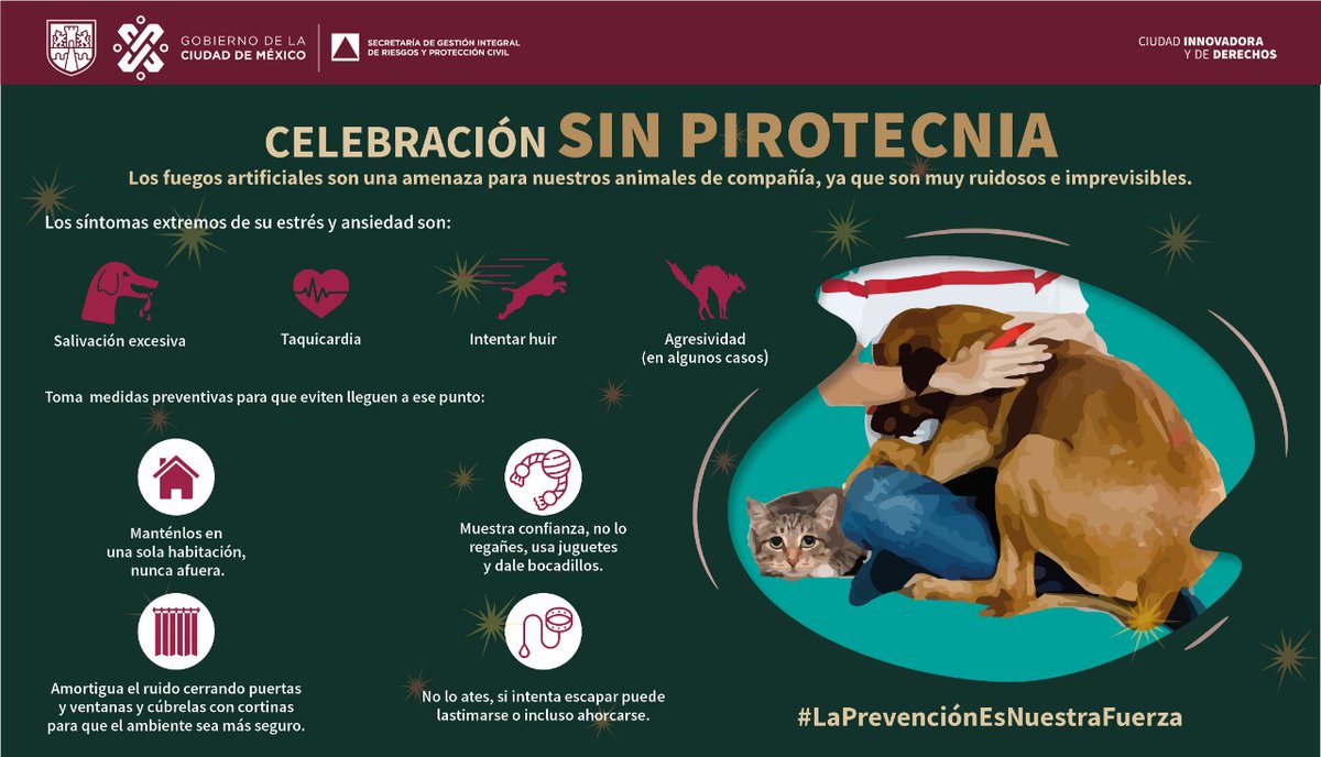 En estas fiestas decembrinas cuidemos de nuestros animales de compañía, no utilices #pirotecnia. Estos artefactos explosivos les pueden provocar: 🔴Salivación excesiva 🔴Taquicardia 🔴Agresividad 🔴Intentos de huir #LaPrevenciónEsNuestraFuerza