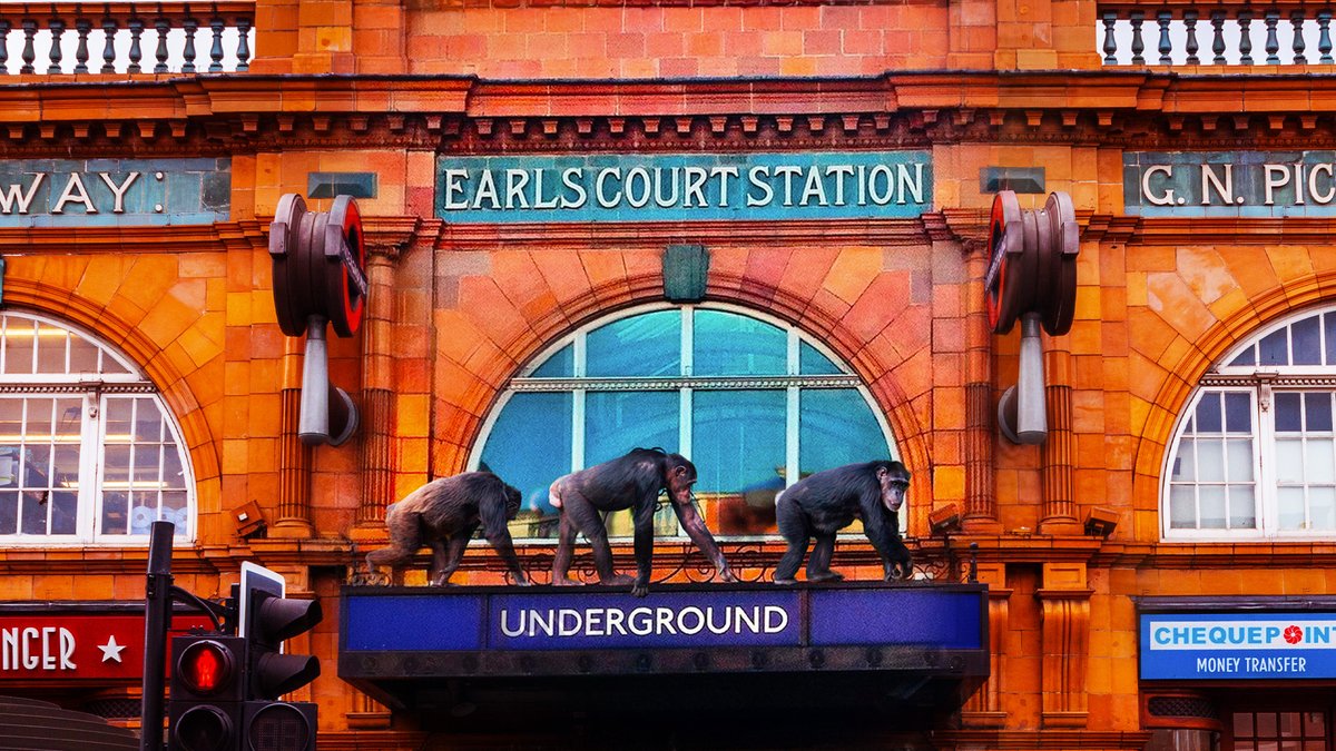 Mind the gap! Travel to Earl’s Court to discover more about the chimpanzee at the #BBCEarthExperience 🌍

Tap the link in our bio to book now.

#MyBBCEarthExperience #BBCEarth