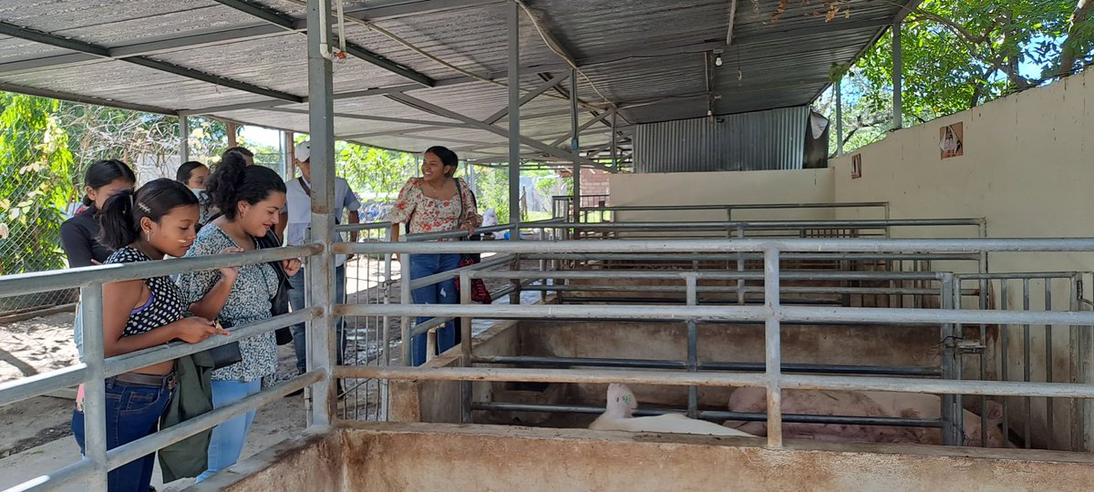 🔰#Madriz realizó en el Municipio de San Juan del Río Coco visita a la Finca de Innovación y Desarrollo tecnológico General Miguel Ángel Ortez, del Municipio de Palacagüina.🧑🏻‍🌾👩🏽‍🌾✨🤩 #somosguardabarranco💚