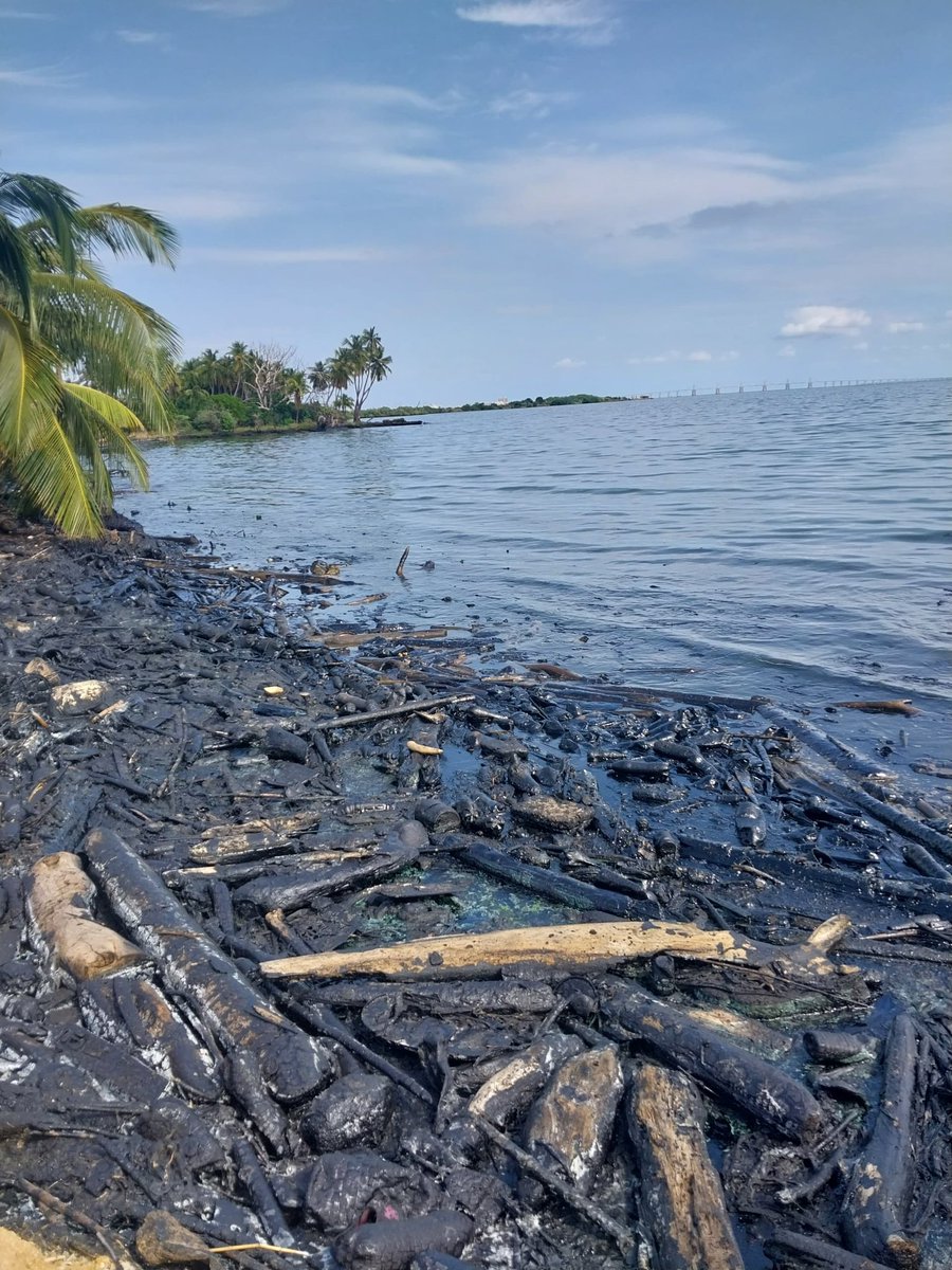 sciencelover_rs's tweet photo. Me escriben los pescadores de El Bajo, en San Francisco, a orillas del Lago de Maracaibo: que no olviden que el lago sigue lleno de petróleo🛢️🚧 https://t.co/yZF3eCTCz0