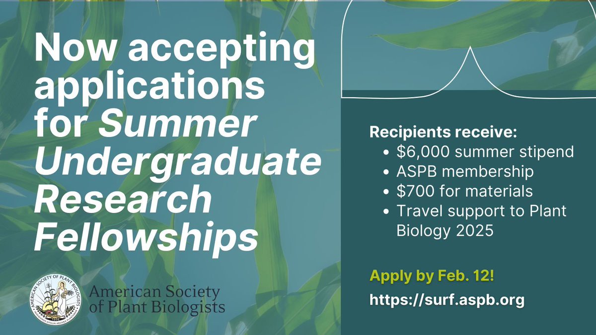 ASPB's tweet image. 🚨 Opportunity Alert! Now accepting applications for Summer Undergraduate Research Fellowships (SURF). Apply by Feb 12! surf.aspb.org.