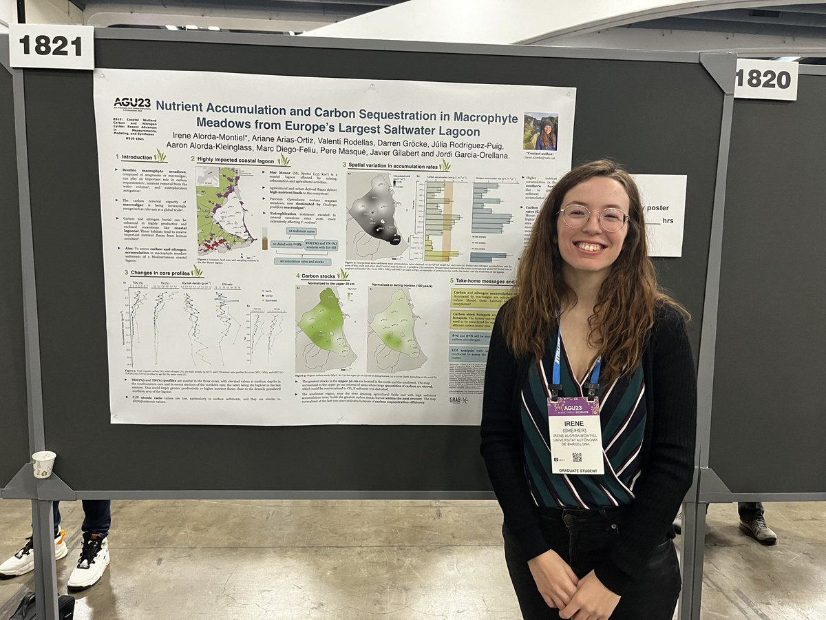 Check out <a href="/GrabUab/">GRAB - UAB</a> <a href="/ICTA_UAB/">ICTA-UAB</a> PhD student Irene Alorda’s poster on carbon burial rates in macrophyte measows in Mar Menor coastal lagoon. Up until 12.30 pm at Moscone South #AGU2023 #bluecarbon