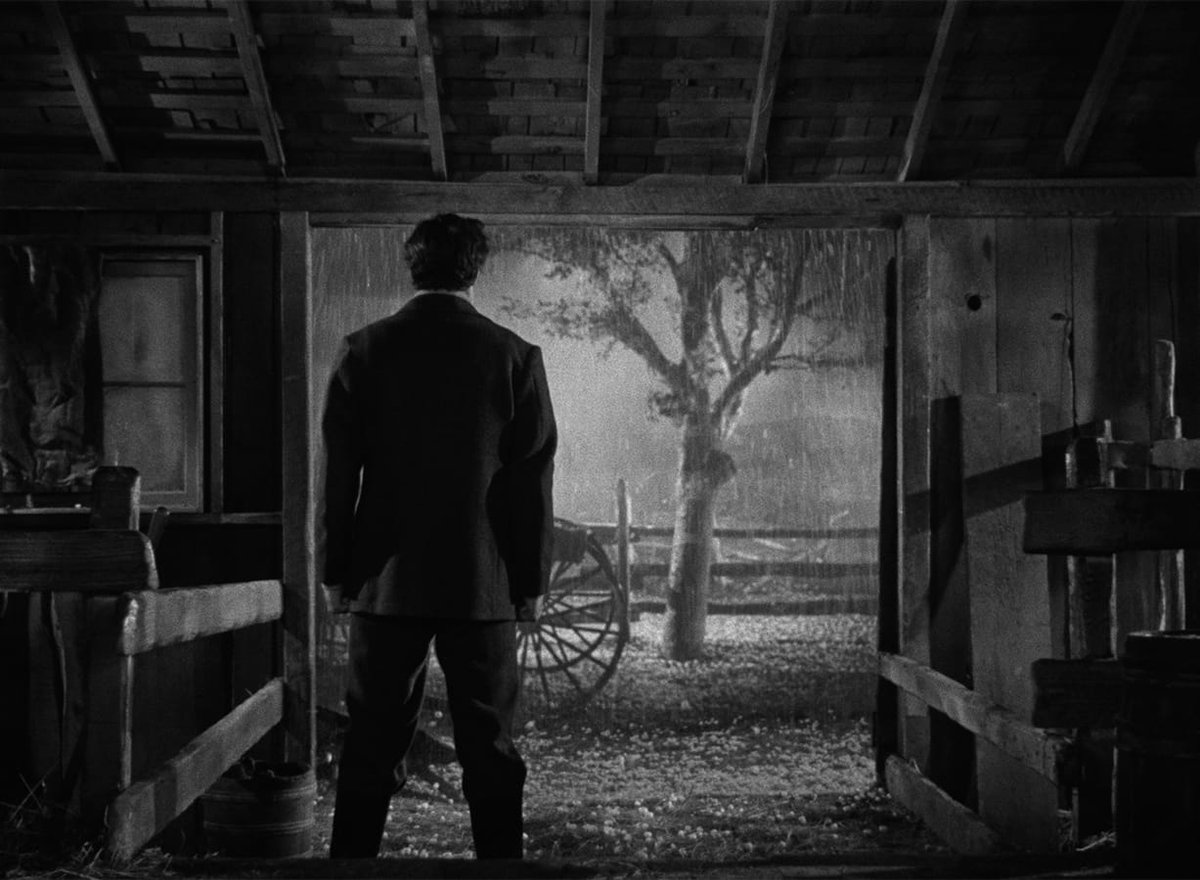 Criterion Collection tweet media