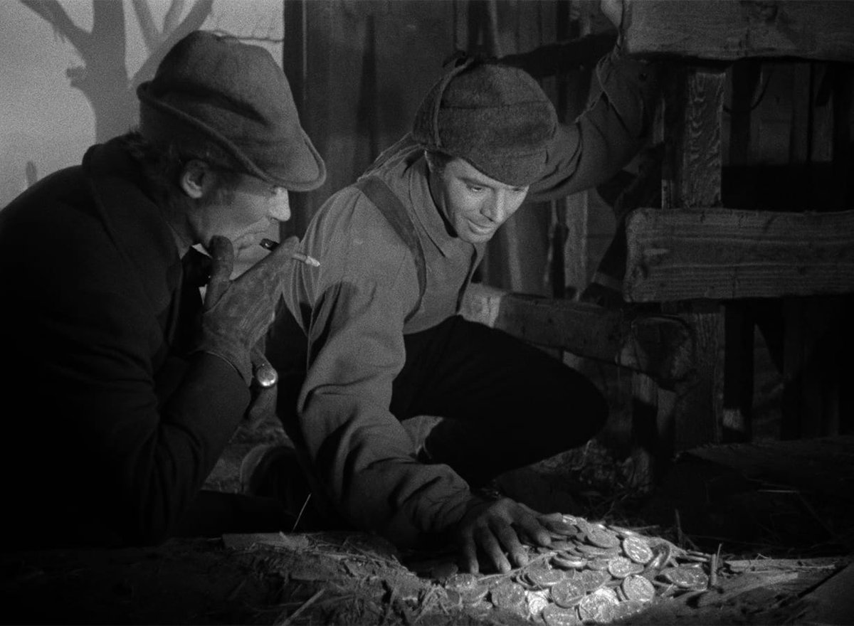 Criterion Collection tweet media
