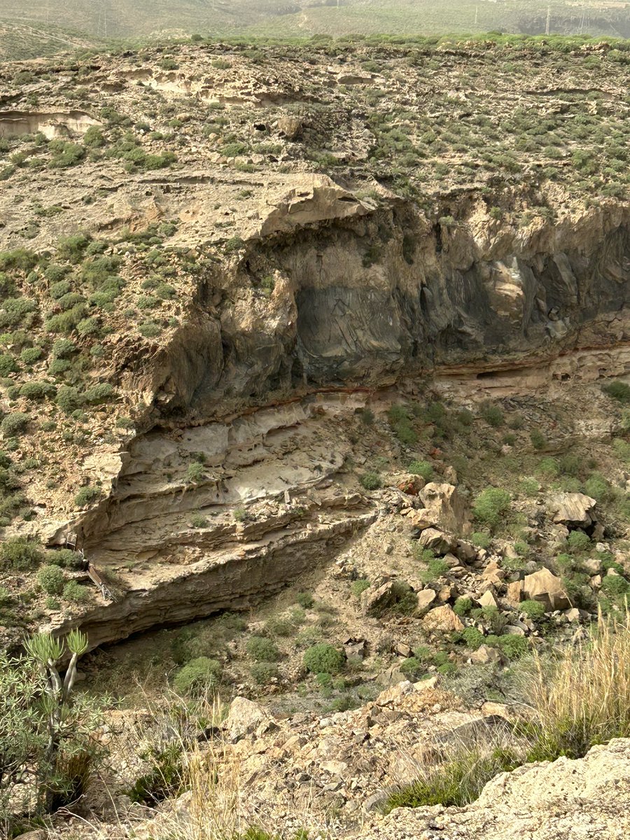 Ryan Bailey tweet media