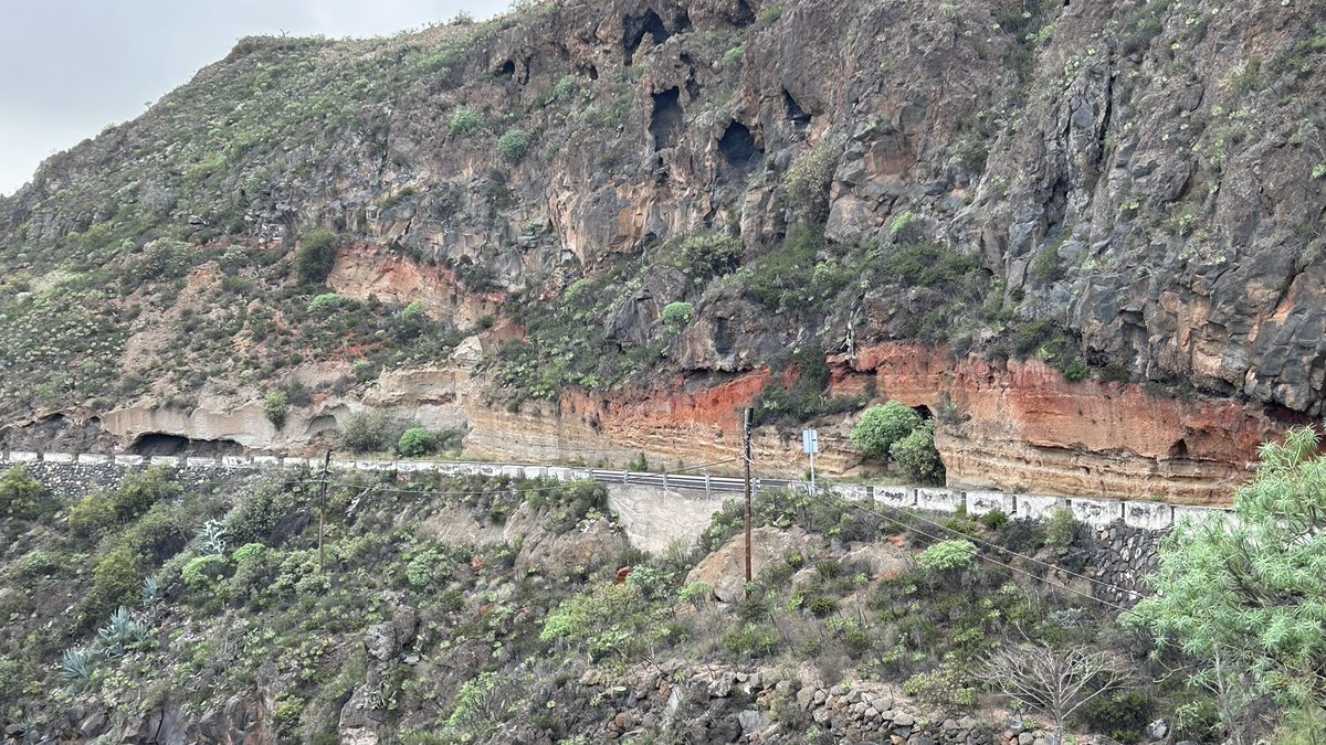 Just some amazing outcrops I’ve been working on - note older deposits on top of the younger scoria cone 🫣

This last month I’ve uncovered a lot of Tenerife’s explosive past and proud of what I’ve achieved given the complexities of the task, I’m excited to see the final product!