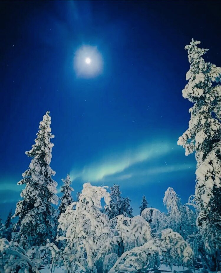 Peaceful night for everyone 💙✨

#finland #lapland #levi #naturelovers #finnishnature #discoverfinland #mervipartanen 🇫🇮