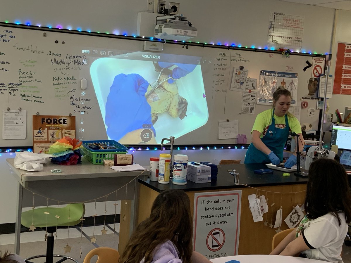 Ms D modeling frog dissection techniques with our students today. #learningneverstops ⁦<a href="/MichaelLeMoyne/">Michael LeMoyne</a>⁩ ⁦<a href="/FultonZone7/">Dr. Crumbley</a>⁩
