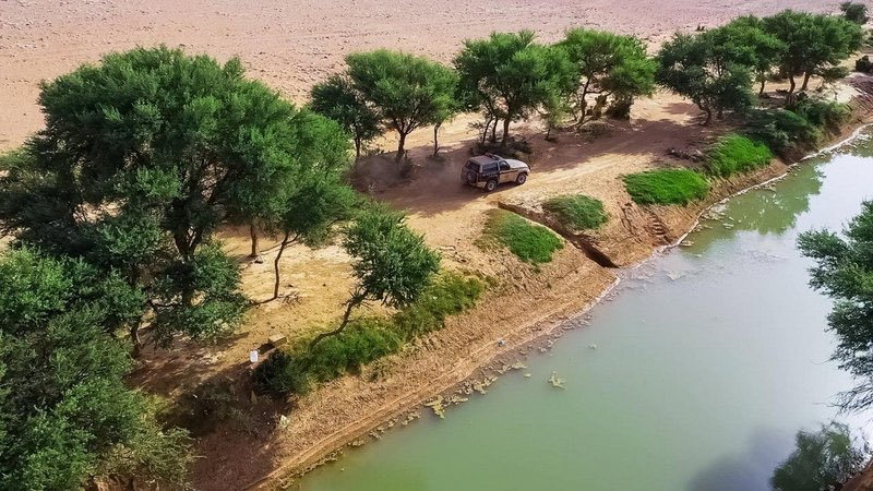 قوات " الأمن البيئي " في السعودية 🇸🇦 🌳 🦌 🐆