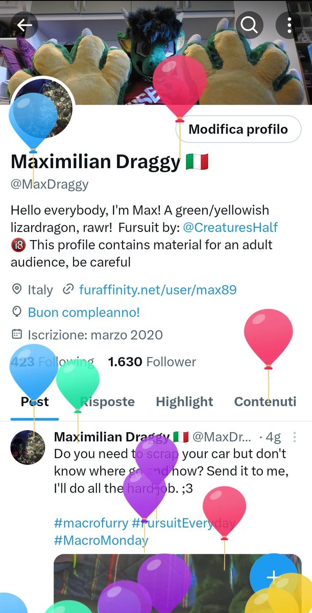 Balloons for Max, double bday (for me and my fursona) as every year and important anniversary for Max, he's now 15 years old, happy bday my little Maxy :3