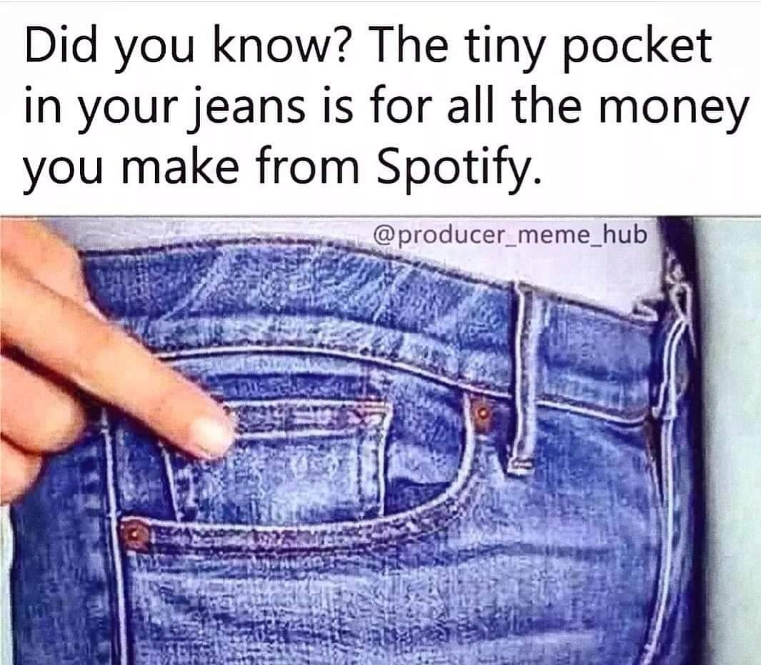 The meme is, of course, very funny, but sadly there is some truth to it. To earn the equivalent income from selling 500 CDs a band needs 250,000 AppleMusic streams. For Spotify it's 750,000 streams! #unsignedartist #spotify #AppleMusic
#unsignedmusic #unsignedband #streamingmusic