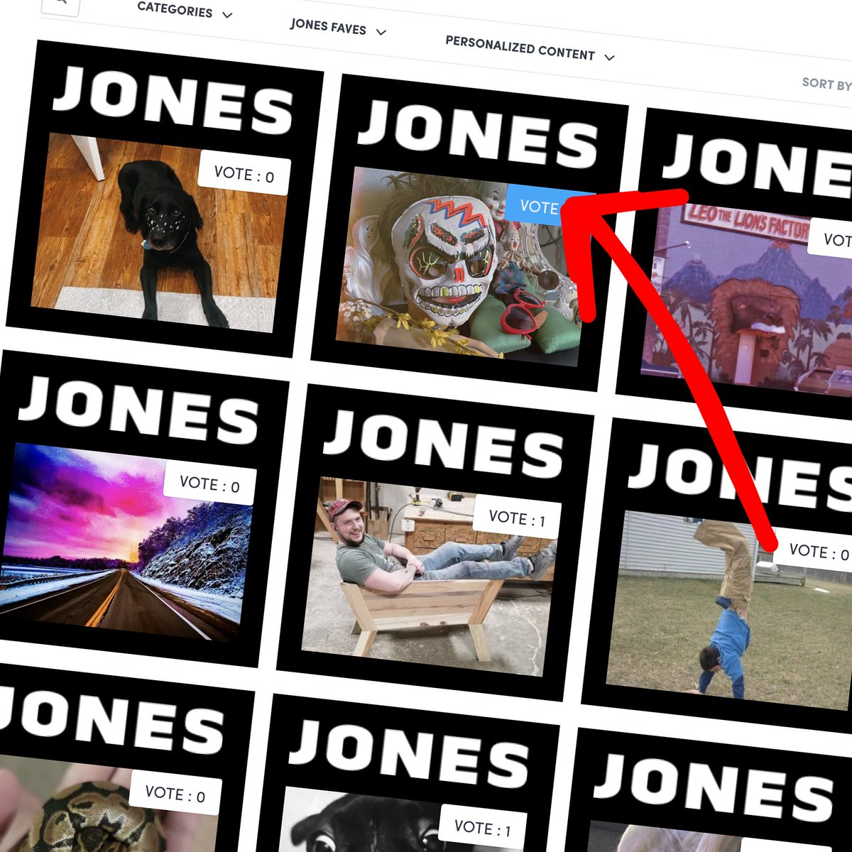 Dungeon of Skeletons (@dungeonofskelet) on Twitter photo Hey! Vote for DOS' photo to be printed on the next batch of <a href="/jonessodaco/">Jones Soda Co.</a> bottles! You don't have to login or make an account. Just visit the link below & click VOTE. The button should turn blue and you're done!
Thanks y'all! tinyurl.com/yc34bnwj Hey! Vote for DOS' photo to be printed on the next batch of <a href="/jonessodaco/">Jones Soda Co.</a> bottles! You don't have to login or make an account. Just visit the link below & click VOTE. The button should turn blue and you're done!
Thanks y'all! tinyurl.com/yc34bnwj