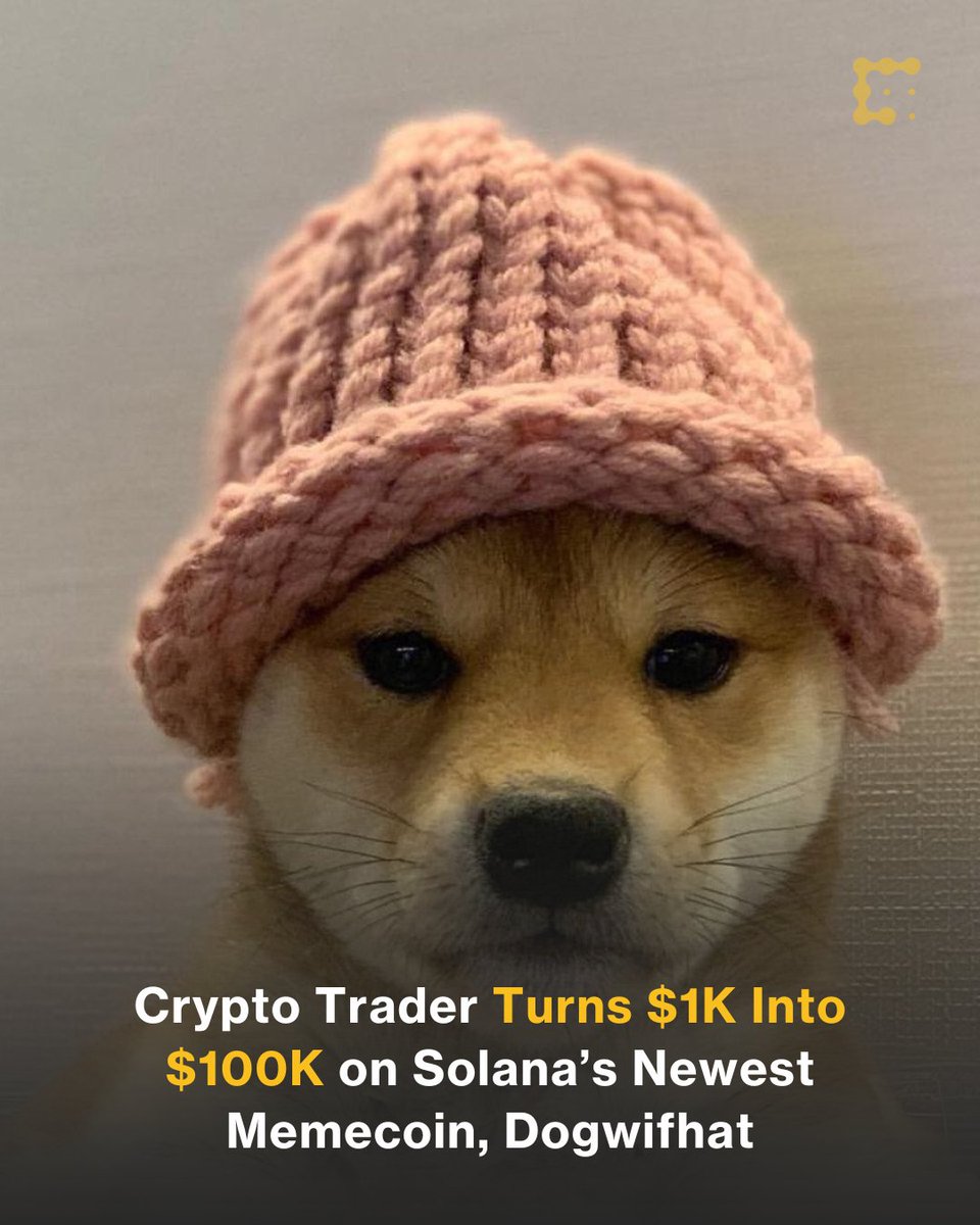 Dumb money is roaring back into the crypto markets. Enter dogwifhat.  Pseudonymous crypto enthusiast Blockgraze turned $1,000 into well over  $100,000 by betting on, of all things, a token whose mascot is