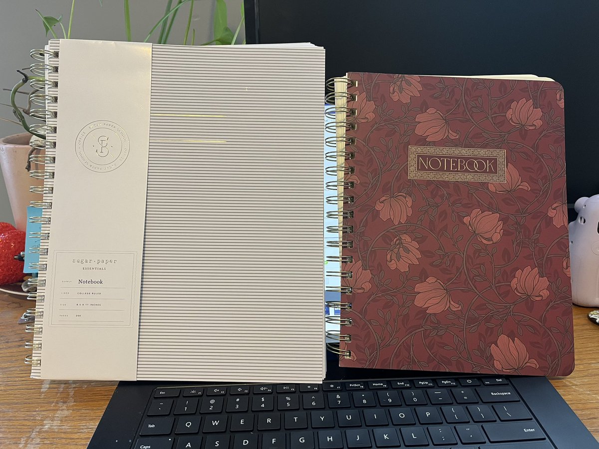 Which notebook for 2024, stripes or flowers