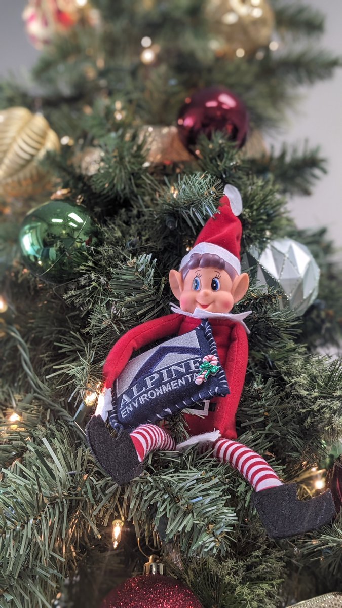 AlpineBoston's tweet image. The halls are decked, and our resident elf is in the festive spirit here at Alpine!🎄Shoutout to our accountant Becky who made the awesome custom ornament!)