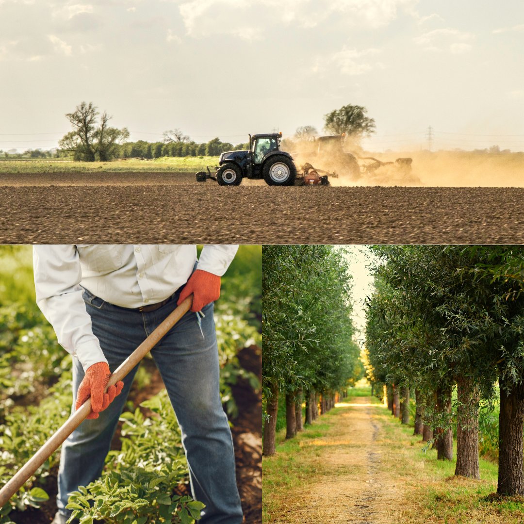 Attention Landowners! USDA extended the deadline for the Discrimination Financial Assistance Program, Section 22007 to Jan. 13, 2024! 
For more info: 22007apply.gov/program-overvi…
#USDA #Landowners #heirsproperty
