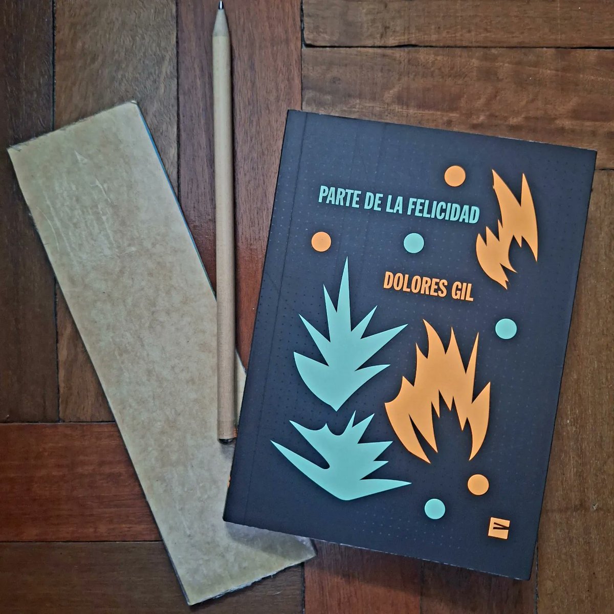 "Un domingo cualquiera la vida es apacible y en menos de un minuto todo  desaparece."