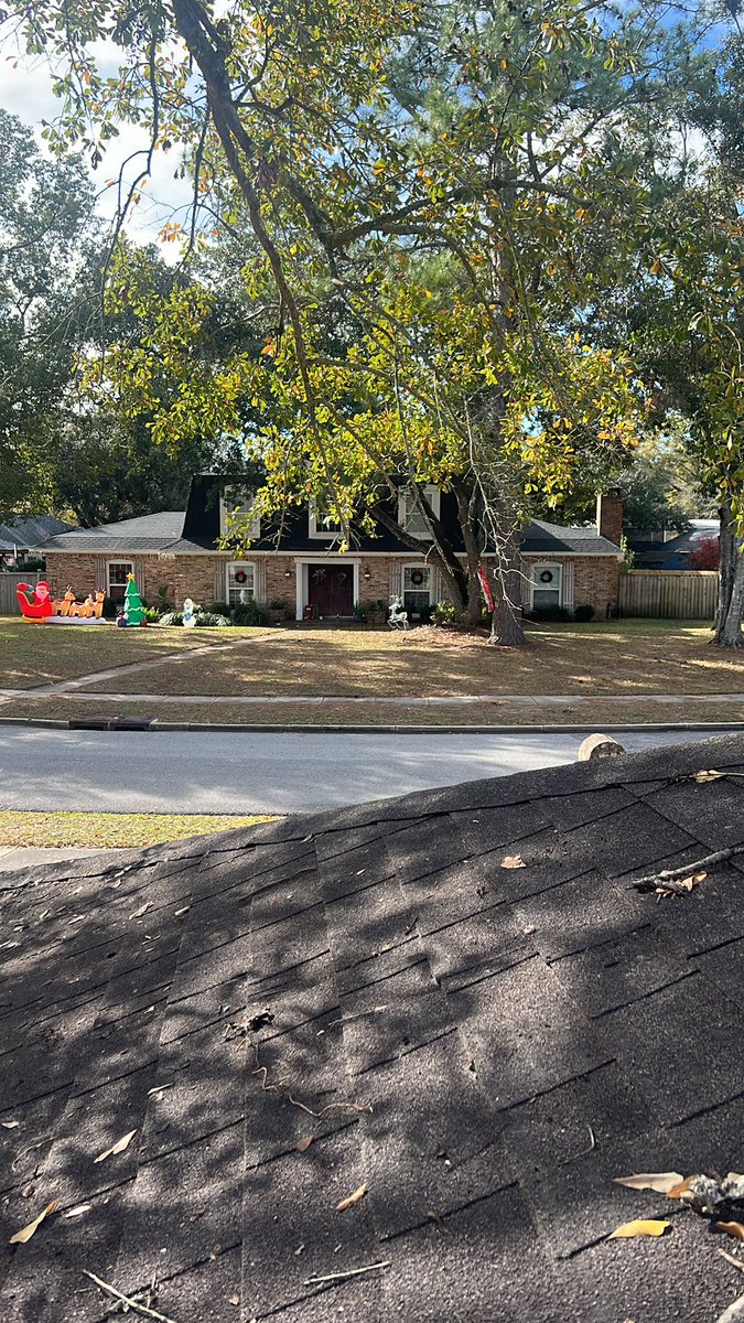 NutFest_Fanatic's tweet image. Life update: on a roof #sickomode